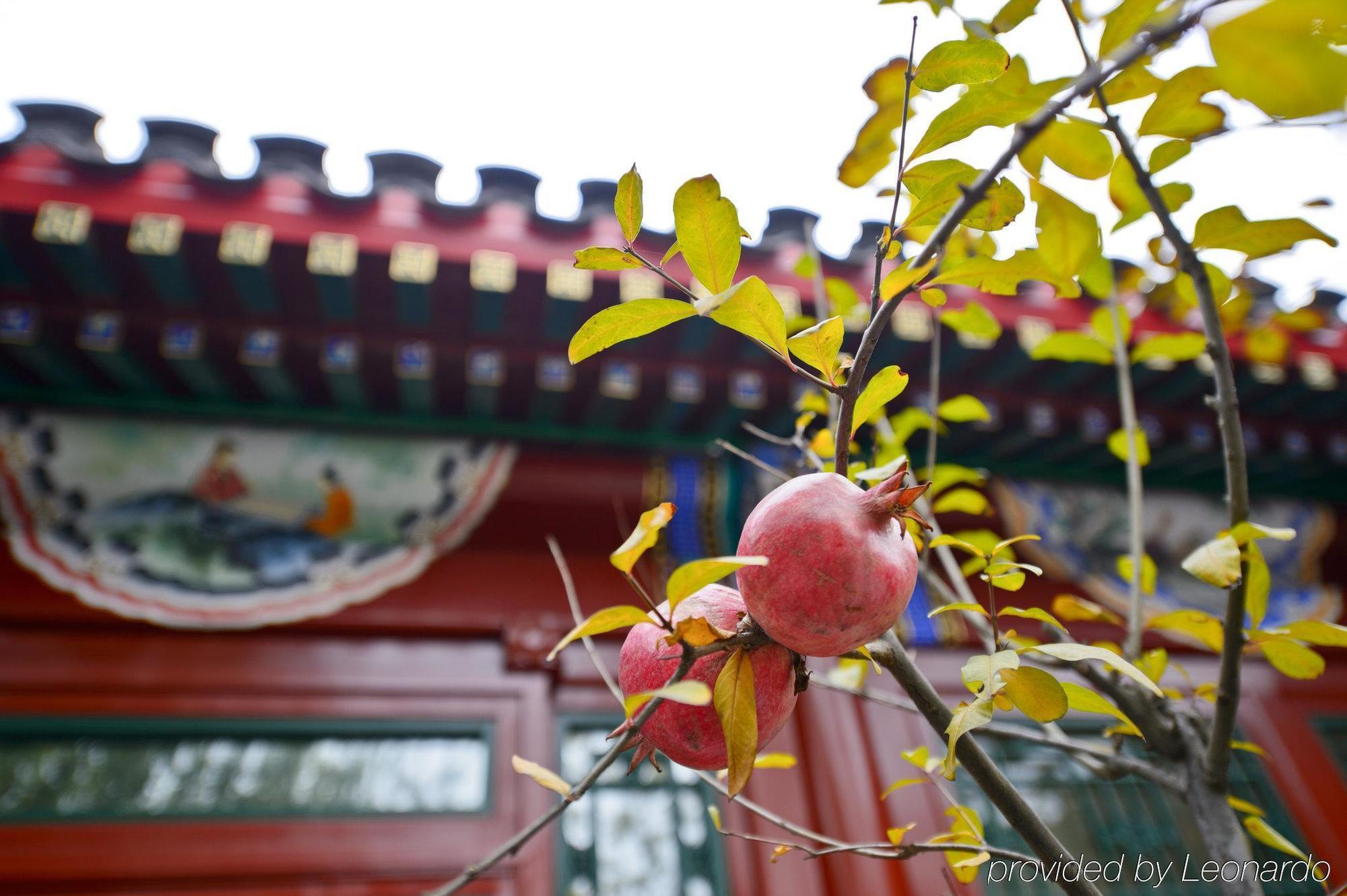 Duge Boutique Hotel Beijing Eksteriør billede